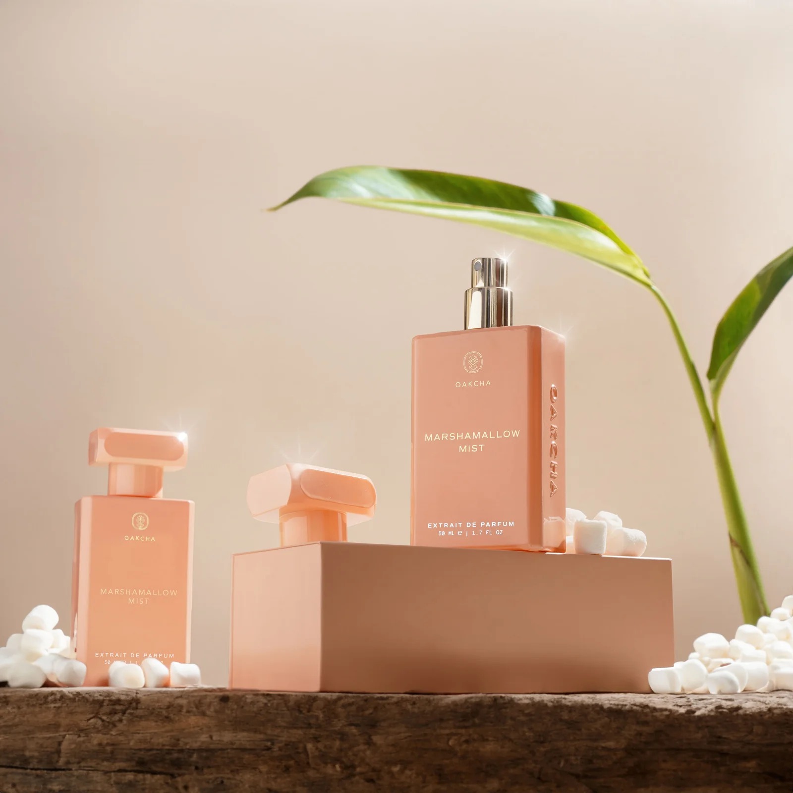 Oakcha Extrait De Parfum 50ml  - The Collection Perfume Fragrance review and price
