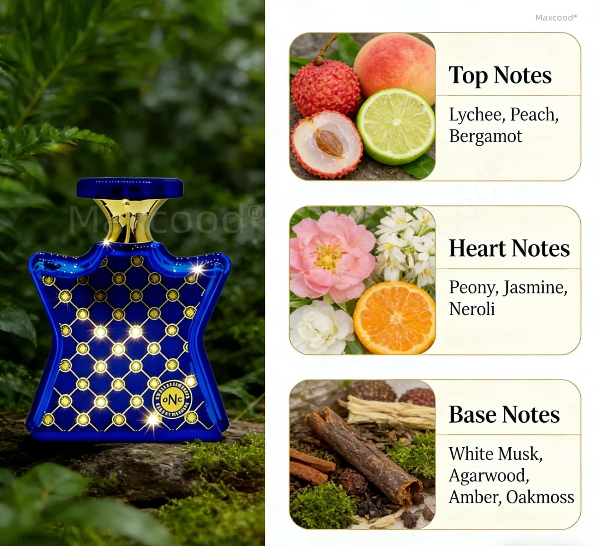 Citrus and floral Perfume Long - Perfume Fragrance For Girls review and price