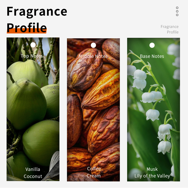 Coconut Vanilla Chocolate Milk - Perfume Fragrance Mist review and price